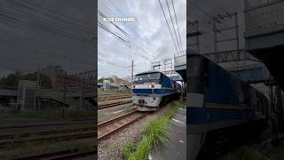 (貨物列車) 2024/08/23 59レ EF210-308 + コキ20B 福山レールエクスプレス (盛岡タ〜安治川口) #Shorts