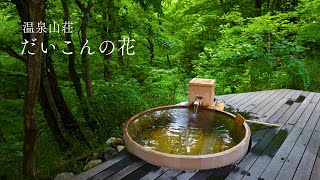 SUB）Daikon-no-Hana｜a Stunning Onsen in the Forest located in Miyagi