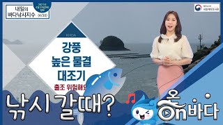 [바다낚시지수] 2021년 4월 30일 전국 해안 바람 강해요 / 해양예보 On바다