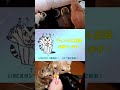 キャットタワーnecotaを堪能しているにゃんこ【我が家の猫にゃんず】