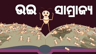 BOU RA GAPAPEDI-83 | ଉଇ ସାମ୍ରାଜ୍ୟ | STORY OF TERMITES | STORY TELLER | ODIA GAPA