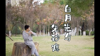 笛子绿洲｜白月光与朱砂痣｜竹笛版