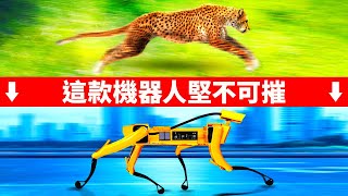 10個確實存在的以動物為靈感的機器人