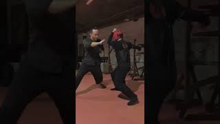 詠春拳肘擊 Wing Chun Elbow #wingchun #kungfu #martialarts #功夫 #詠春