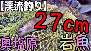 【釣り】27cmオーバー！塩原の秘境、、渓流岩魚