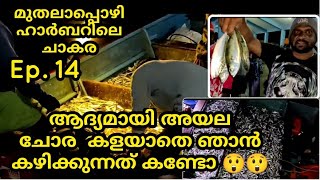 മുതലപ്പൊഴി ഹാർബർ  കണ്ടിട്ടുണ്ടോ!!  | How To Buy Fish From Muthalappozhi Port Complete Video