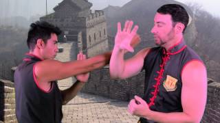 Learn Wing Chun's Lop Sau in One Minute | Sifu Tei