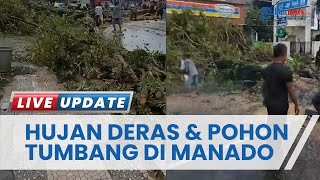 Hujan Deras dan Angin Kencang Landa Manado, Pohon Berusia 30 Tahun Tumbang di Jalan Samrat
