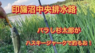 【印旛沼中央排水路】バラし多杉太郎がハスキージャークでブラックバスを釣ったナリ！