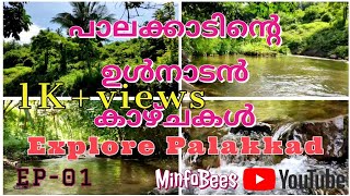 #Konnakkalkadavu Exploring the beautiful places in Palakkad Episode -01 || Palakkad Tourism