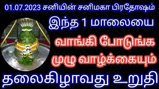 01.07.2023 சனியின் சனிமகா பிரதோஷம் ! இந்த 1மாலையை வாங்கி போடுங்க !  வாழ்க்கையும் தலைகிழாவது உறுதி