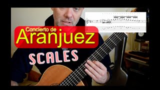 Rodrigo Guitar Concerto de Aranjuez - Scales Lesson
