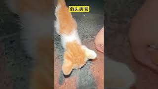 捡到一只猫