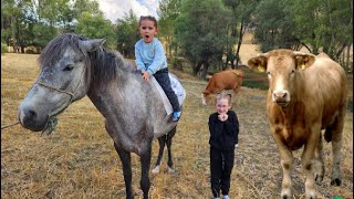 BANU ALYA ATIN ÜSTÜNE NASIL BİNDİN İNEK SÜRÜSÜ MÜ VAR ?!ماما جابت بيبي - جنى مقداد | طيور الجنة