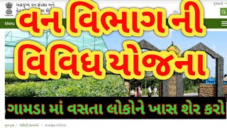 વન વિભાગ ની વિવિધ યોજના વિશે માહિતી forest department yojana  Gujarat