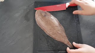 comment nettoyer le poisson🐟 Sole🐟 . اسهل طريقة لتنظيف حوت الصول 👍 مع تشرميلة لذيذة