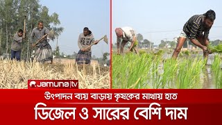 বোরো চাষাবাদে চরম অস্থিরতা; উৎপাদন ব্যয় বেড়ে ৫ হাজার টাকা | Naogaon