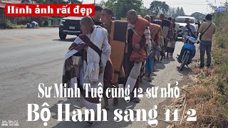 Bước chân đầu tiên bộ hành sáng 11/2 sư Minh tuệ đi cùng 12 sư nhỏ