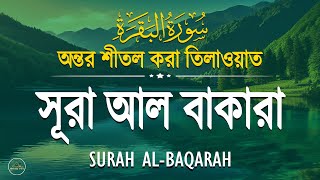 সূরা আল-বাকারা _ অত্যন্ত মায়াবী তিলাওয়াত l ( سورة البقرة ) AL-BAQARAH Recited By Alaa Aqel