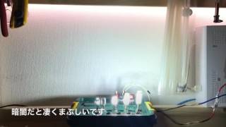 ストロボポジション LED なにげにストロボ球 暗い場所バージョン　T10 strobe LED japan