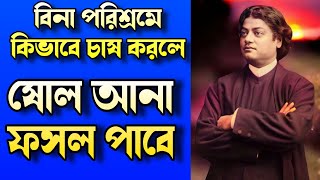 বিনা পরিশ্রমে কিভাবে চাষ করলে ষোল আনা ফসল পাবে