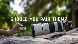 Pairing The 2x Teleconverter with the Sony 200-600mm G Lens | User Experience Review