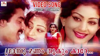 Graampoo Manam Thookum | Kattaruvi | Malayalam Video Song | Unni Mary | Rajkumar | G Devarajan |