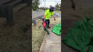 Roadside Clean UP inches from Busy Road #freemowfridays