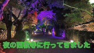 夜の西教寺へいってきましたあ