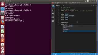 Shell Scripting Tutorial for Beginners 2 using Variables and Comments