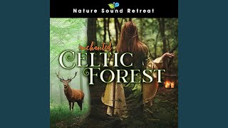 Enchanting Celtic Meditation Music - Hypnotically Charming 432hz Frequency