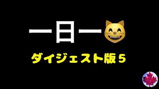 255【😸猫ダイジェスト５】一日一😸を集めてみました｜240〜249の一日一😸を集めてみました