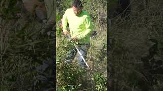 Community volunteers tackle years of neglect at Old Collins Cemetery in Alice