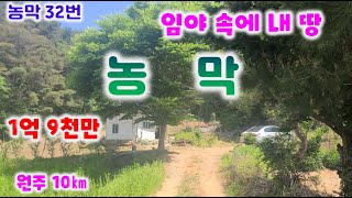 농막32번 원주시내토지매매  끝자락 공방등으로 추천 365일 마르지 않는 샘물,자그마한 연못,끝자락 남서향 방면에 햇살좋은 명당 터  부지467평  1억9천 033-765-5998