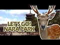 Let's Go! Nara Park