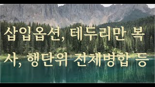 삽입옵션 단추, 셀 테두리만 복사, 행단위 전체병합, 셀 삽입후 서식문제   2022-11-24