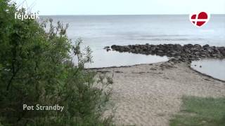 Strandvielfalt zwischen Juelsminde und dem Vejle-Fjord