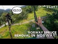 Big Tricky Norwegian Spruce Removal! | Part 1