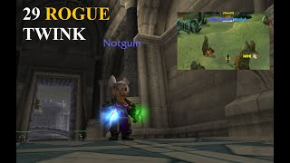 Guinever 29 Twink Rogue