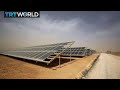 Gulf countries investing in renewable energy | Money Talks