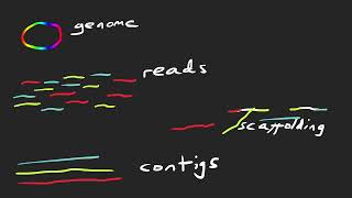 Defining our terms: reads, contigs, scaffolds, and genomes