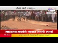 Download Ratnagiri Dogs race terror In Mp4 3Gp Full HD Video