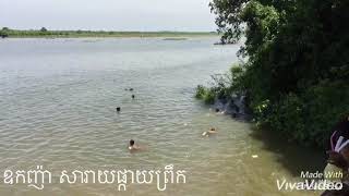 ប្រវត្តិទូកង សារាយផ្កាយព្រឹកចាស់