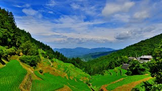 Time-Lapse, Rice Terraces TANADA, Izumidani, 日本棚田百選【泉谷棚田】 (4k) 愛媛県内子町