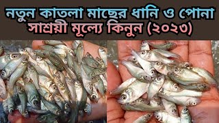 নতুন কাতলা মাছের ধানি ও পোনা||সাশ্রয়ী মূল্যে কিনুন||Katla fish farming.