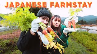 We Tried Living On A Farm In The Japanese Countryside | Kumano