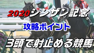 2020シンザン記念 攻略ポイント★3頭で射止める競馬