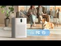 morento hy4866 air purifier best air purifier for large room best air purifier for pet owners