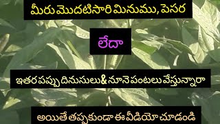 rhizobium use in//blackgram//మినుము\u0026 పప్పు దినుసులు పంటలో #farmingrythu