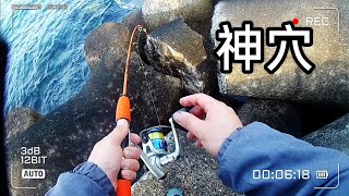 【穴釣り】サバの切り身は、最強だった！神穴出現！ソイ（23cm）とカサゴ（21cm.22cm）をお持ち帰りしました。Ice fishing